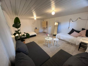 Central living with many beds and private garden! Göteborg